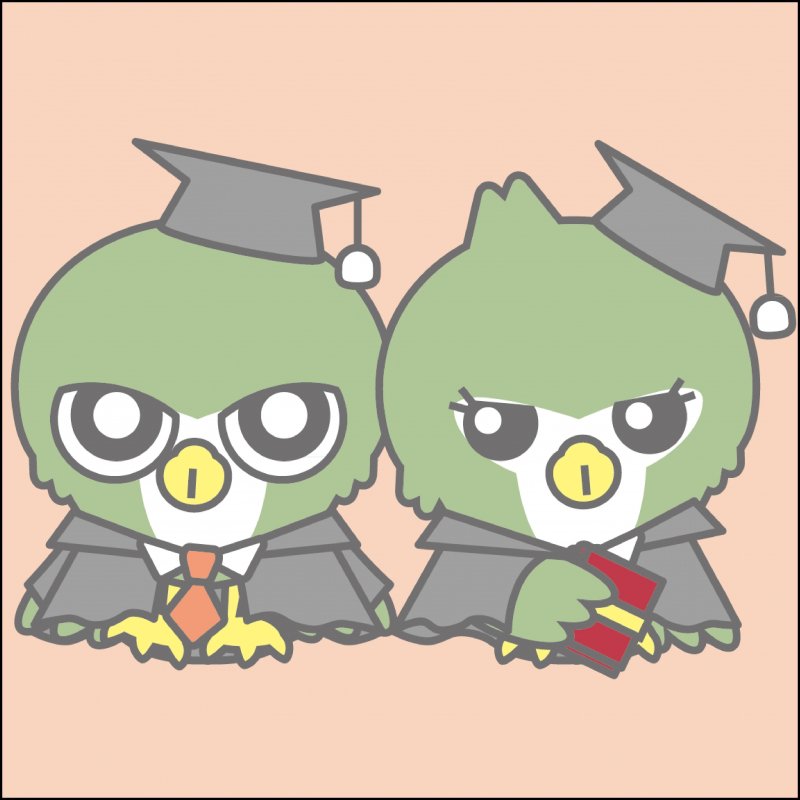 KU游体育APP官方网站入口说明」梳